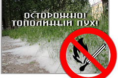 Пожарная безопасность в летний пожароопасный период. Инспекторский состав 3 ТОНПР по СВАО УНПР Главного управления МЧС России по г. Москве консультирует.
